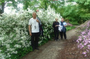 jardin floral-Bx 30-04-2010 014