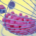 loto-boule